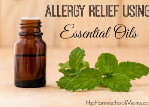 Essential oils have a big role to play in allergy relief