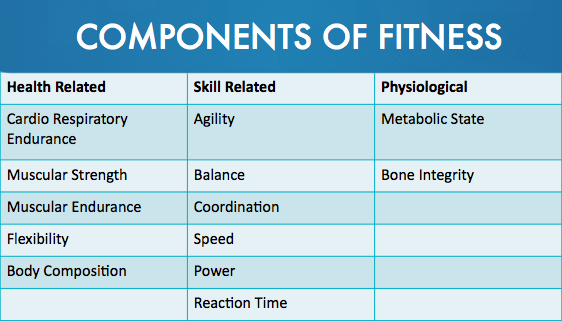 What Are The Health Related Components Of Physical Fitness