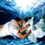 How photographer takes most romantic photos underwater