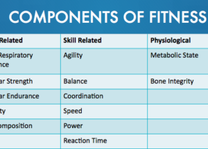 6 Health Related Components of Fitness